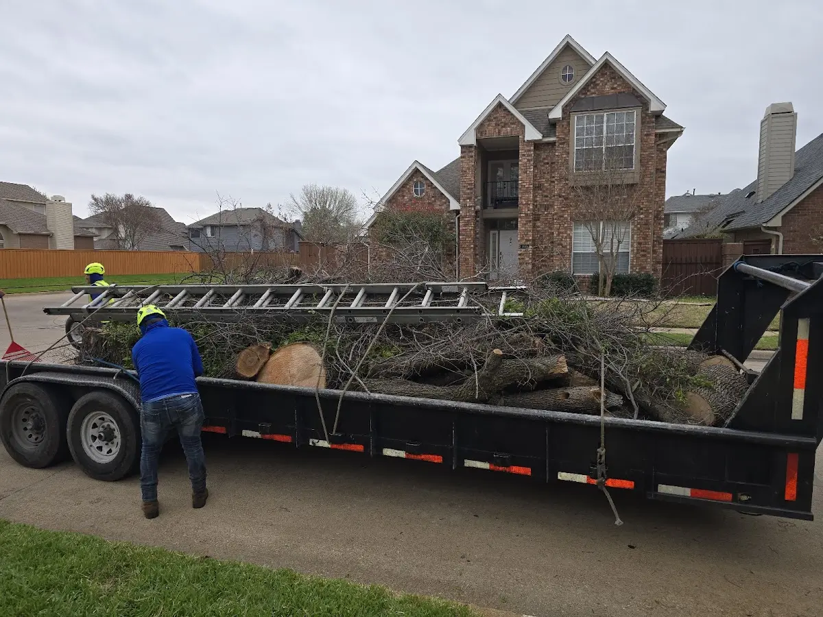 Expert Tree Removal with proper safety equipment in Stringtown